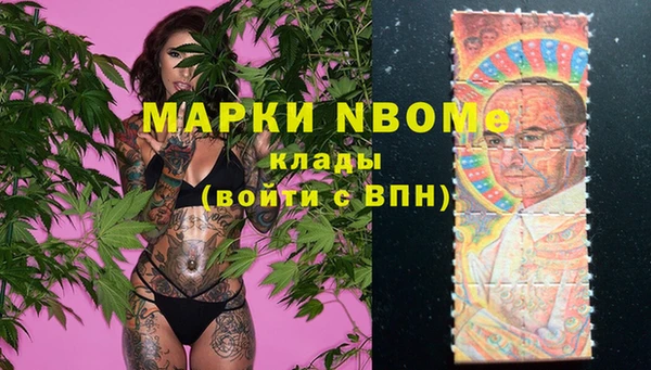 хмурый Михайловск