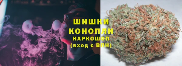 хмурый Михайловск