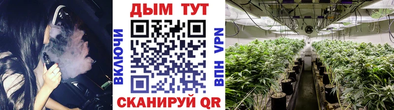 omg ссылки Пойковский Бошки Шишки семена наркота
